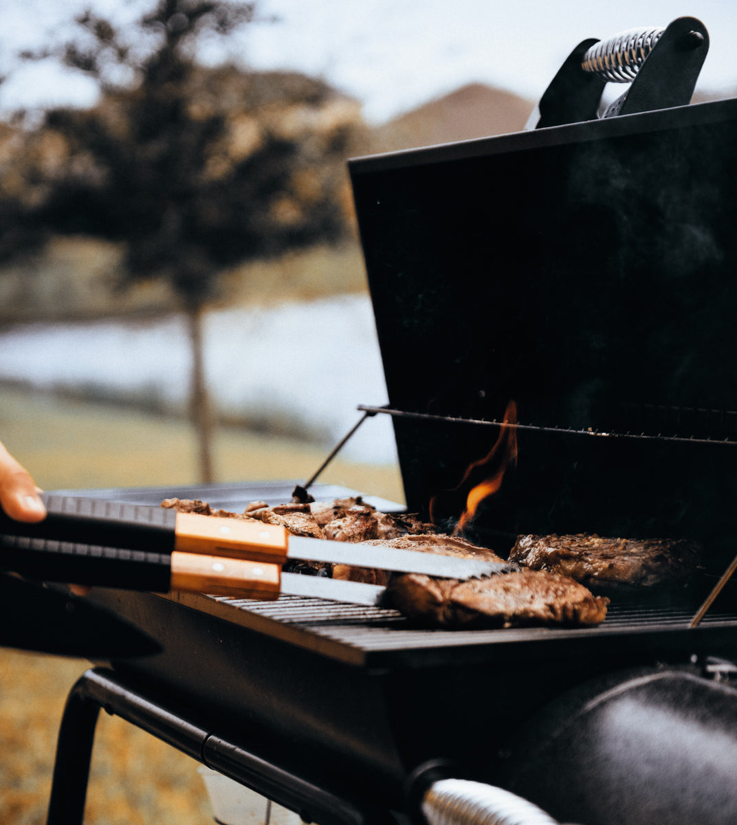 Pincel Brocha Para Parrilla Asados Cocina – CATALAB