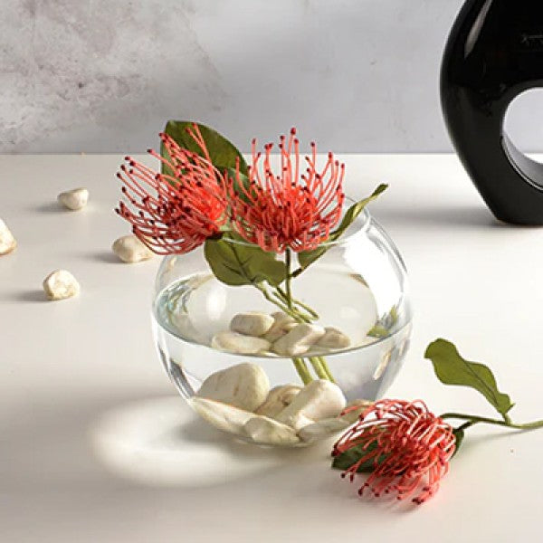 Pecera Florero Vidrio Redonda 16cm Pasabahce