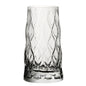 Set de 6 Vasos Vidrio Alto 450cc Leafy