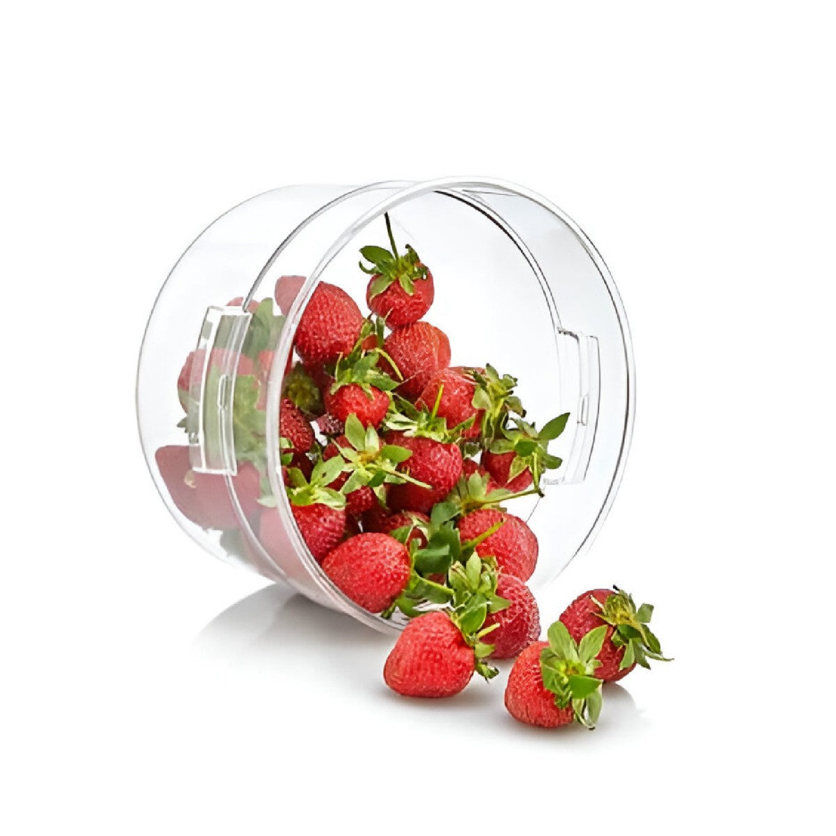 Contenedor Redondo Policarbonato  12QT sin tapa